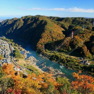 本日の釣果情報